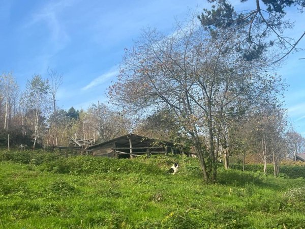 terreno agricolo in vendita a Giaveno in zona Mollar dei Franchi