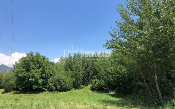 casa indipendente in vendita a Giaveno in zona Colpastore