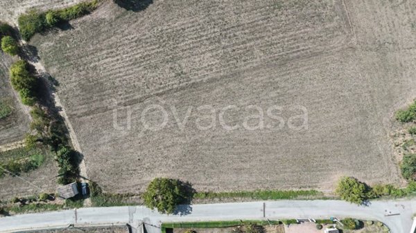 immagine annuncio 0 di 7