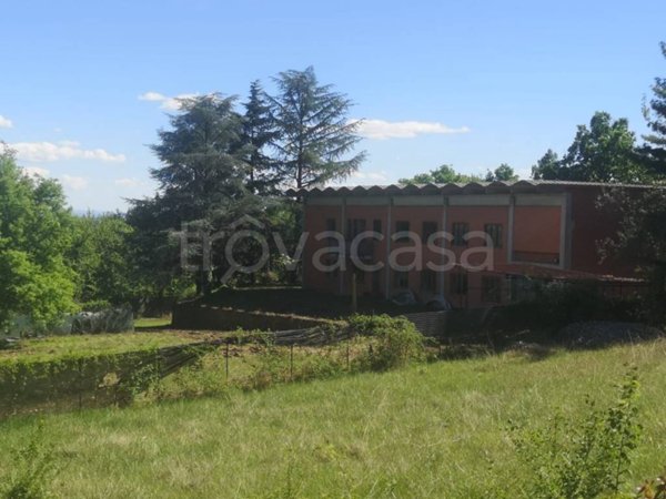 negozio in vendita a Givoletto