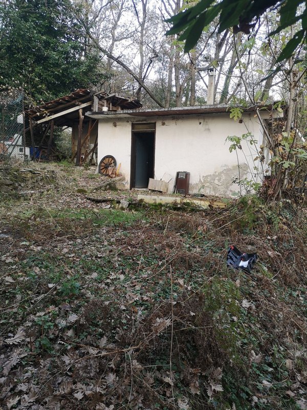 appartamento in vendita a Givoletto