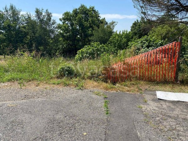 casa indipendente in vendita a Givoletto