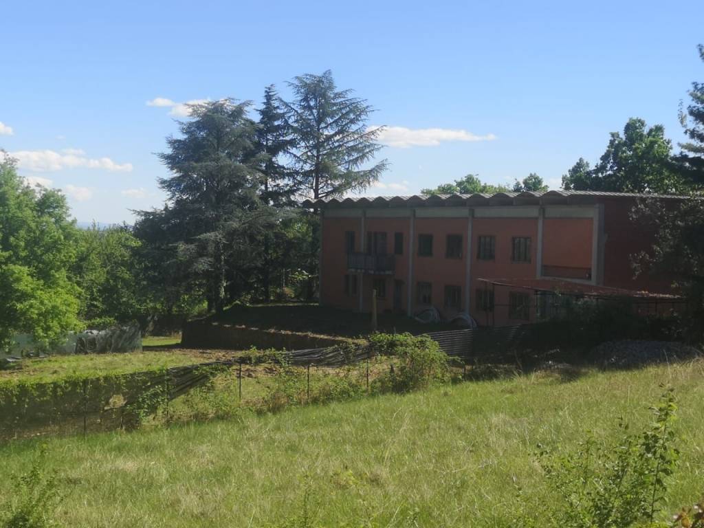 negozio in vendita a Givoletto