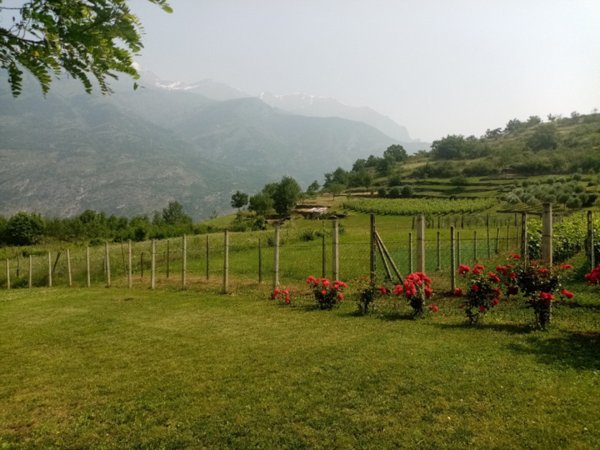 negozio in vendita a Gravere