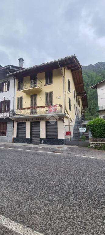 immagine annuncio 0 di 15