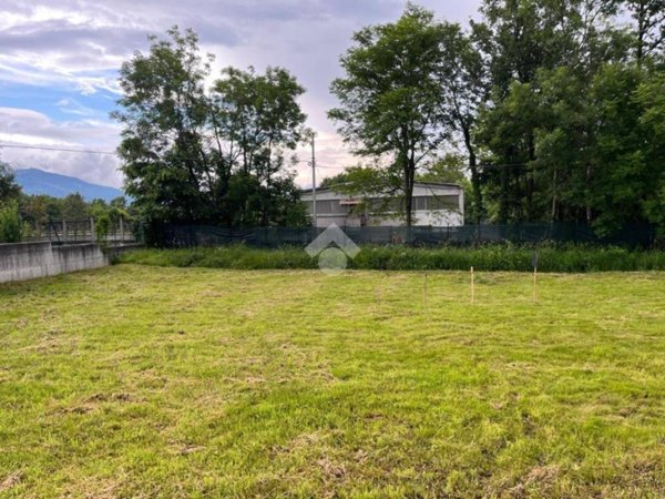 terreno agricolo in vendita a Grosso