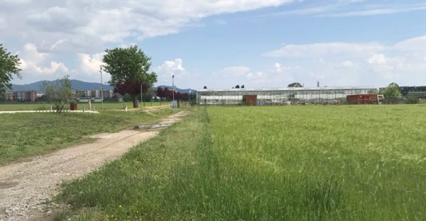 terreno agricolo in vendita a Grugliasco