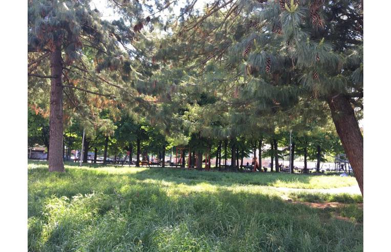 appartamento in vendita a Grugliasco