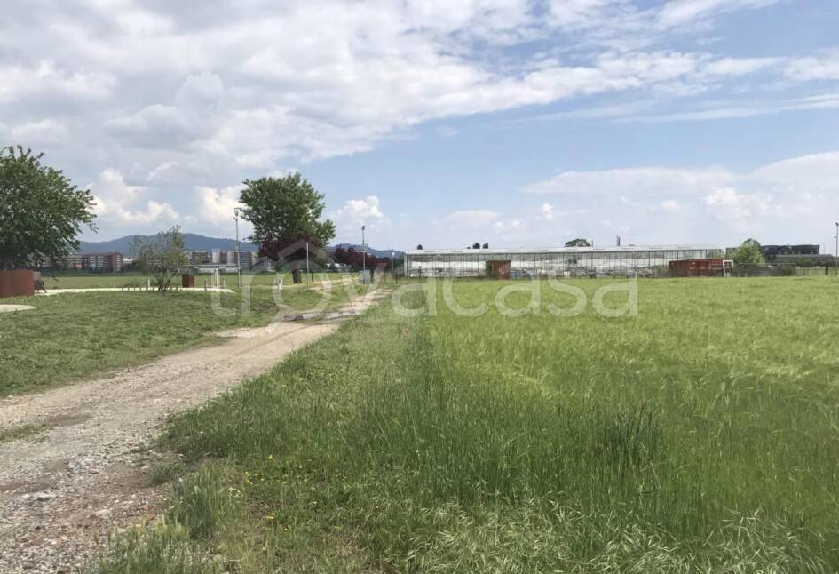azienda agricola in vendita a Grugliasco