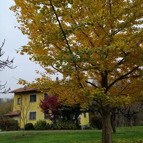 casa indipendente in vendita ad Ivrea