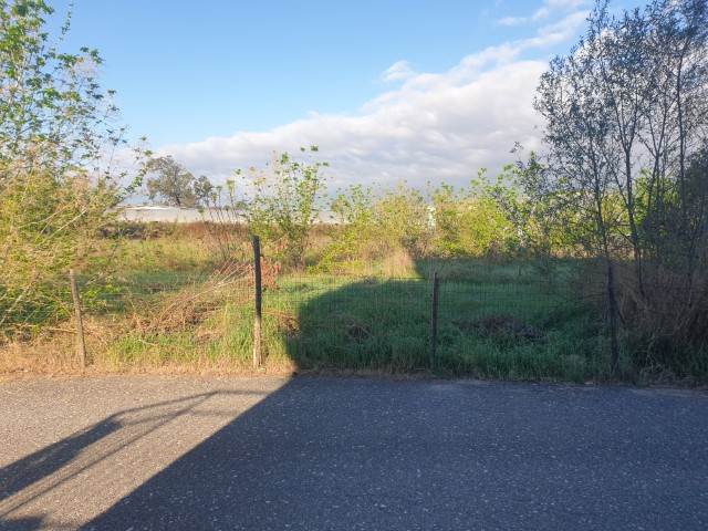 terreno agricolo in vendita ad Arena Po