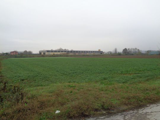 terreno agricolo in vendita ad Arena Po