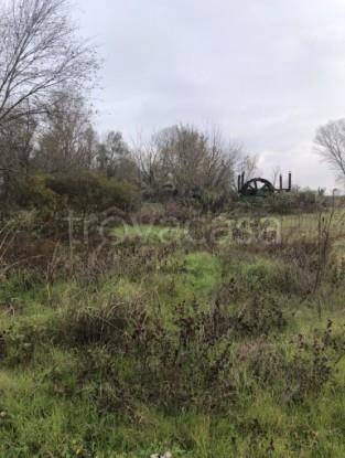 terreno agricolo in vendita ad Arena Po