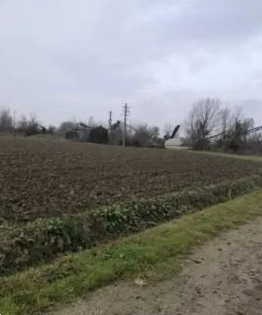 terreno agricolo in vendita ad Arena Po