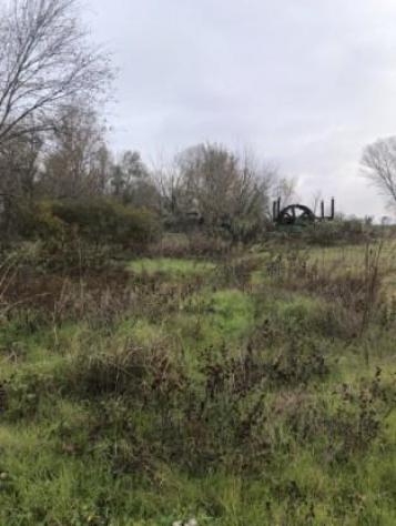 terreno edificabile in vendita ad Arena Po