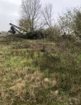 terreno agricolo in vendita ad Arena Po