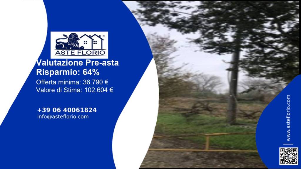 terreno agricolo in vendita ad Arena Po