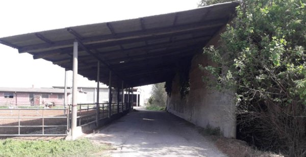 casa indipendente in vendita ad Arena Po in zona Ripaldina