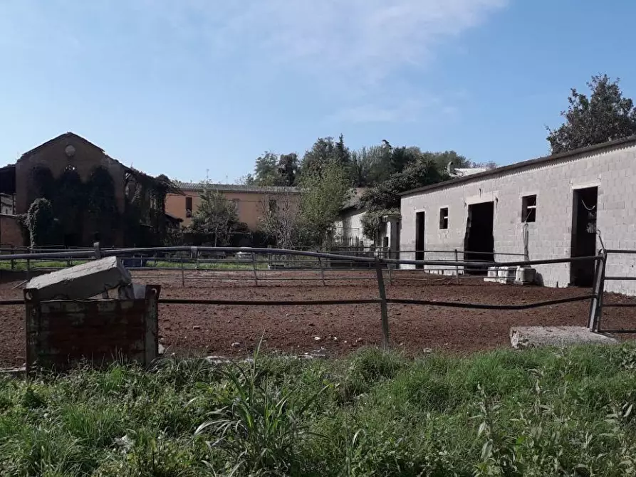 casa indipendente in vendita ad Arena Po in zona Ripaldina