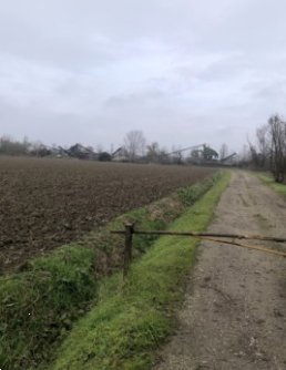 terreno agricolo in vendita ad Arena Po in zona Fornace