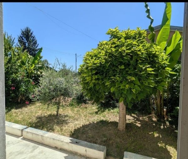 casa indipendente in vendita ad Arena Po in zona Fornace