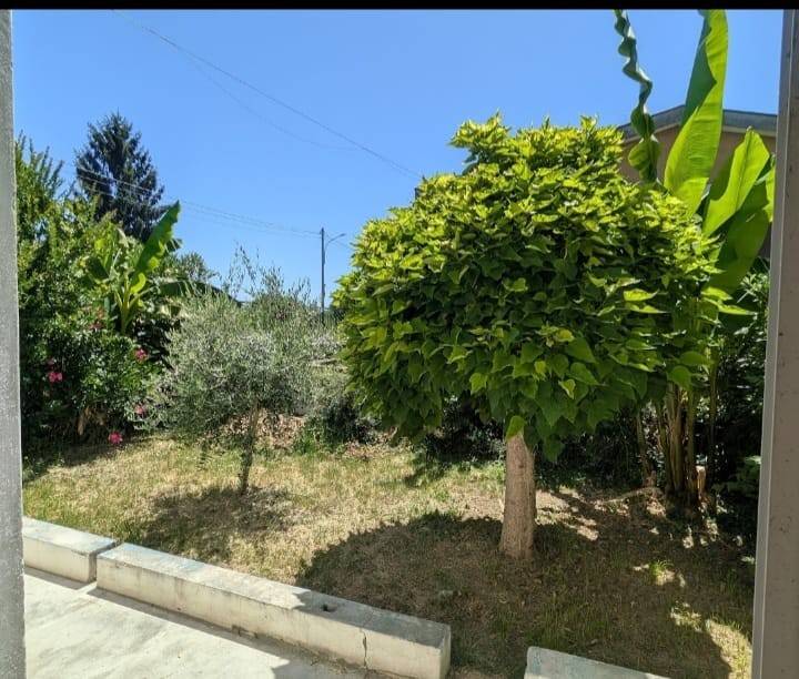 casa indipendente in vendita ad Arena Po in zona Piantà