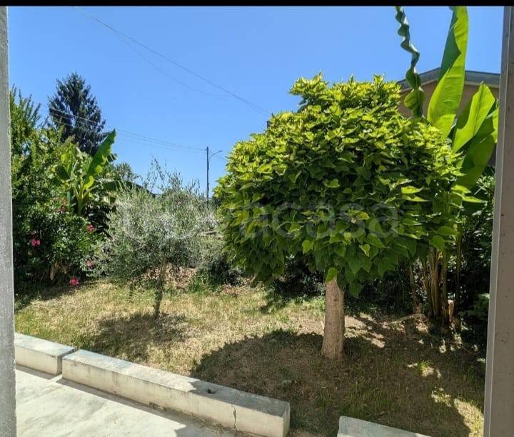 casa indipendente in vendita ad Arena Po