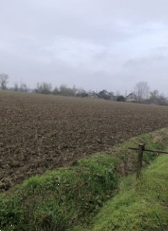 terreno agricolo in vendita ad Arena Po in zona Fornace