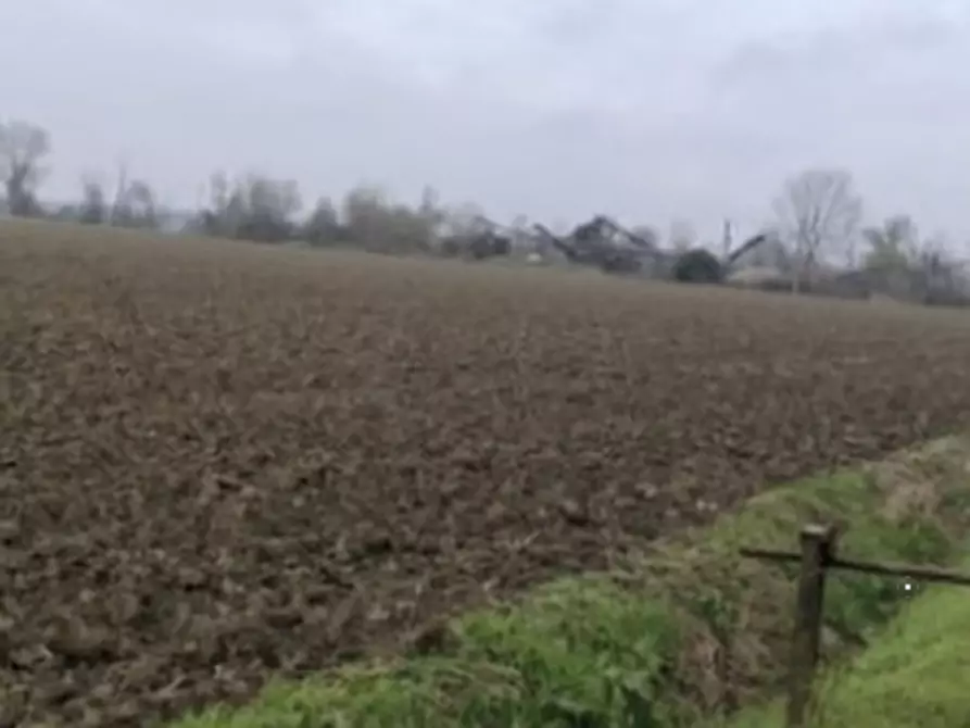 terreno agricolo in vendita ad Arena Po in zona Fornace