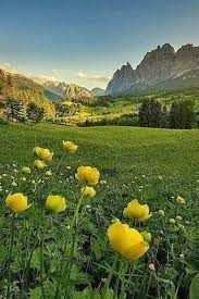 terreno agricolo in vendita a Badia Pavese