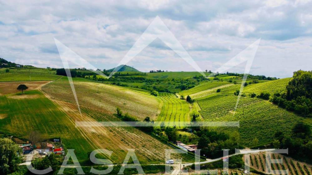 casa indipendente in vendita a Bagnaria