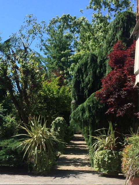 casa indipendente in vendita a Belgioioso