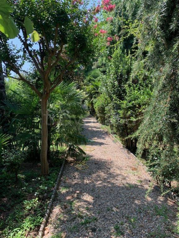 casa indipendente in vendita a Belgioioso