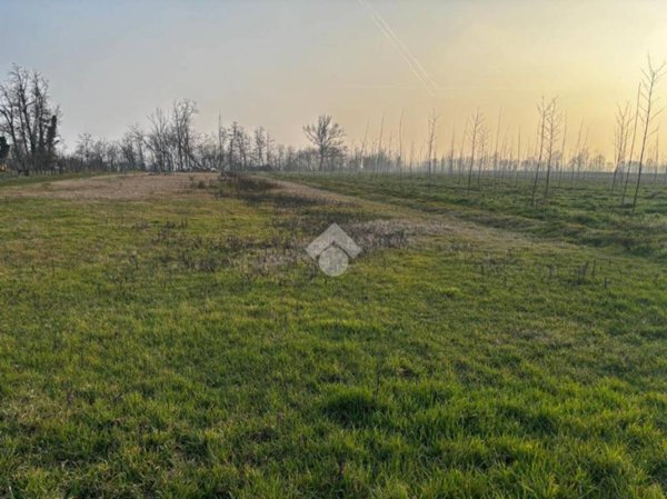 terreno agricolo in vendita a Belgioioso in zona Santa Margherita