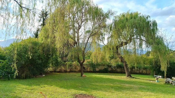 terreno agricolo in vendita a La Cassa