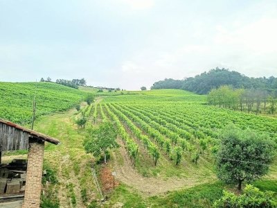 casa indipendente in vendita a Borgo Priolo