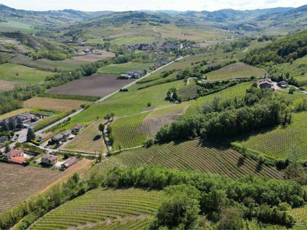 azienda agricola in vendita a Borgo Priolo in zona Cappelletta