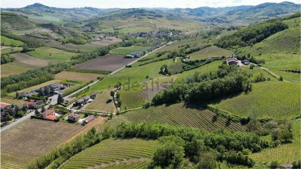 azienda agricola in vendita a Borgo Priolo in zona Cappelletta