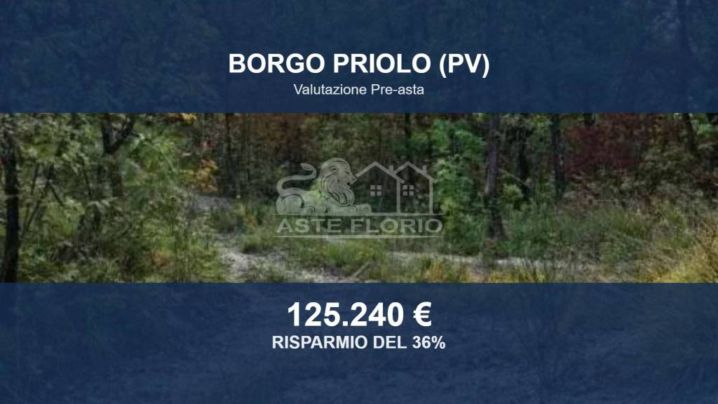 terreno edificabile in vendita a Borgo Priolo in zona Schizzola