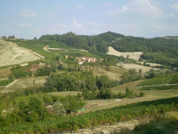 casa indipendente in vendita a Borgo Priolo in zona Schizzola
