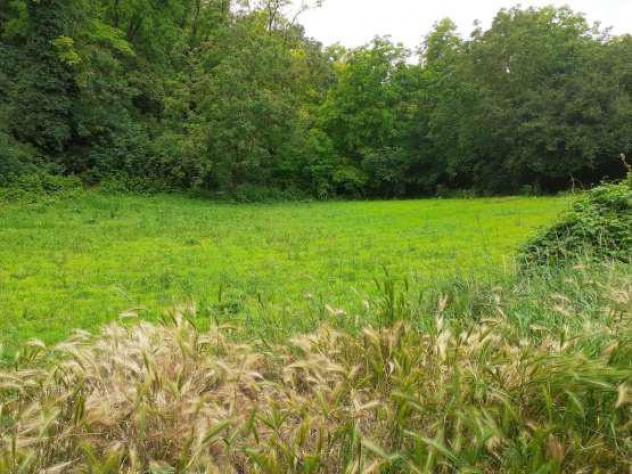 terreno agricolo in vendita a Borgoratto Mormorolo