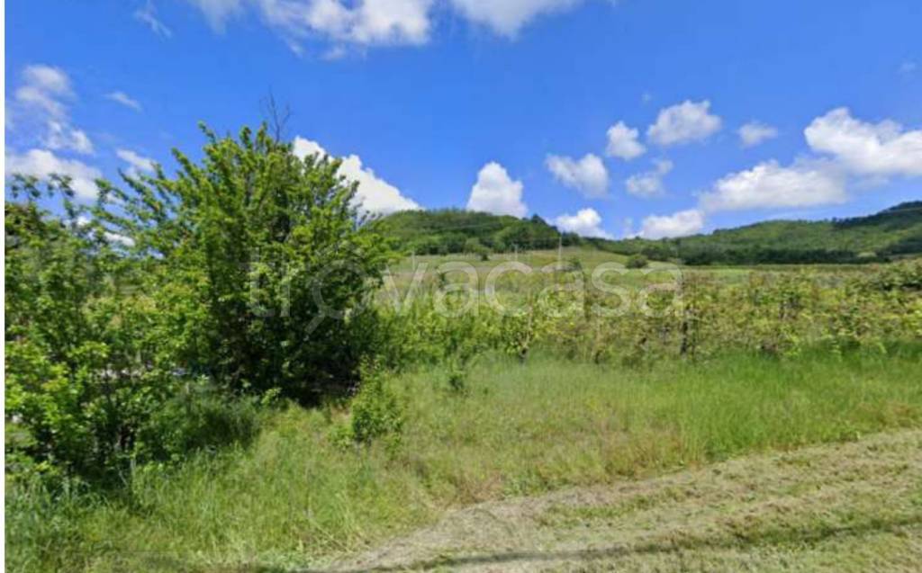 terreno agricolo in vendita a Borgoratto Mormorolo