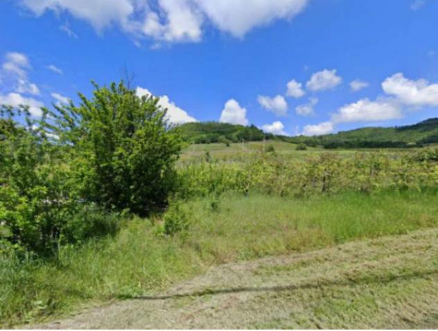 terreno agricolo in vendita a Borgoratto Mormorolo in zona Gabbione