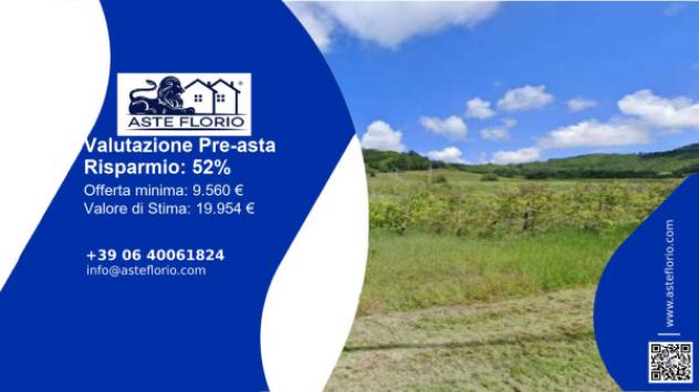 terreno agricolo in vendita a Borgoratto Mormorolo