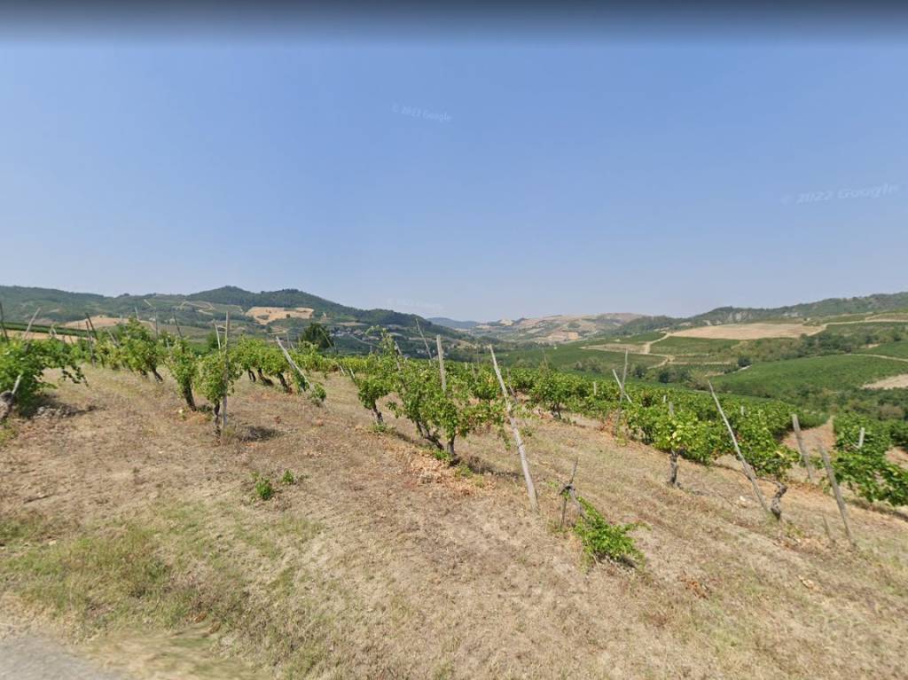 terreno agricolo in vendita a Borgoratto Mormorolo
