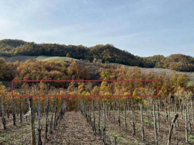 terreno agricolo in vendita a Borgoratto Mormorolo