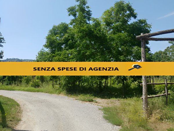 casa indipendente in vendita a Borgoratto Mormorolo in zona Braglia