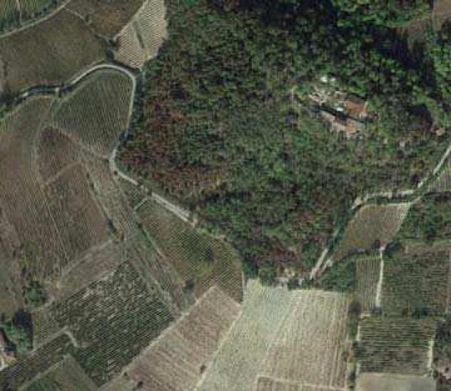 terreno agricolo in vendita a Borgoratto Mormorolo