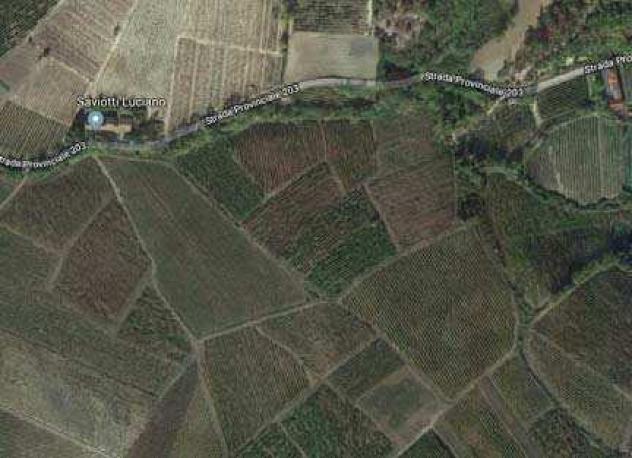terreno agricolo in vendita a Borgoratto Mormorolo