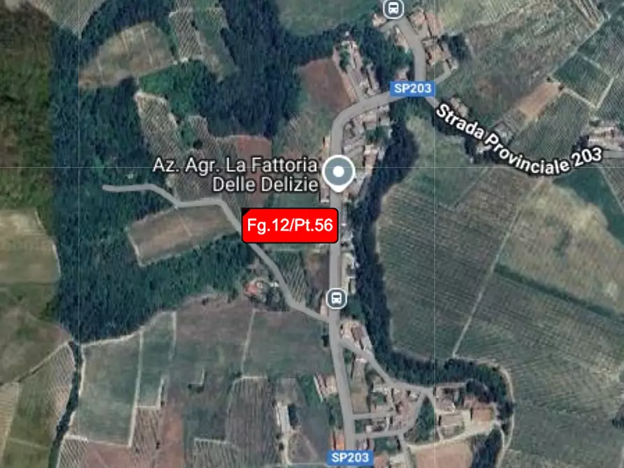 terreno agricolo in vendita a Borgoratto Mormorolo in zona Cà Bernocchi